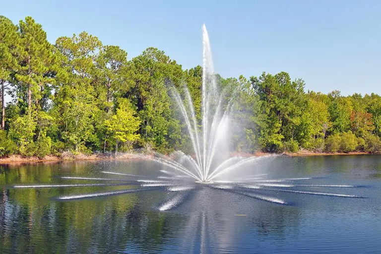 Vertex Aquatic Solutions